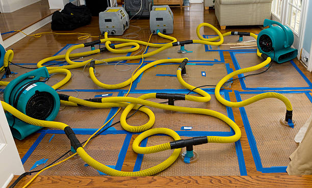 Professional Structural Drying And Dehumidification technician working in Wharton, WV